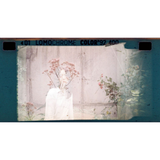 Pellicule Lomochrome Turquoise 135 - Lomochrome 2024 | Fleux | 12