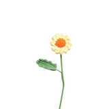 Fleurs en Crochet Daisy | Fleux | 5