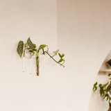 Pack de 3 vases muraux | Fleux | 13