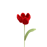 Fleurs en Crochet Tulip | Fleux | 7