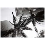 Simple Use Camera LomoChrome Black/White | Fleux | 11