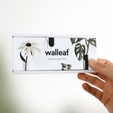 Vase Mural | Fleux | 11