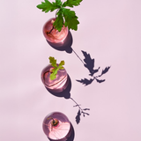 Vase en verre pour avocat | Fleux | 18