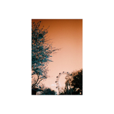 Simple Use Camera LomoChrome Turquoise | Fleux | 15