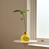 Vase en verre pour gland | Fleux | 9