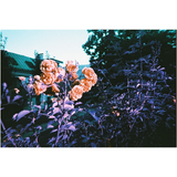 Simple Use Camera LomoChrome Purple | Fleux | 17