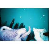 Simple Use Camera LomoChrome Purple | Fleux | 18
