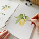 Carnet d'aquarelle - Fruit | Fleux | 16