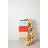 Box Studio About - Rouge | Fleux | 27