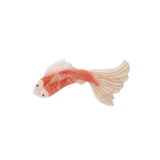 Pince à cheveux Carp Koi - Rouille/Blanc cassé | Fleux | 2