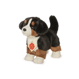 Peluche Chiot Bouvier Bernois debout | Fleux | 6