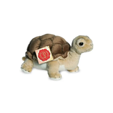 Peluche Tortue | Fleux | 5