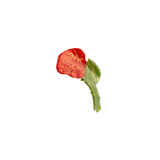 Pince à cheveux Rose | Fleux | 7