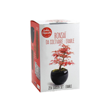 Bonsai Kit - Red Maple | Fleux | 2