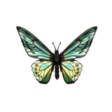 Origami Butterfly Birdwing Trophy - Green | Fleux | 2