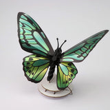 Origami Butterfly Birdwing Trophy - Green | Fleux | 3