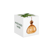 Vase en verre pour avocat | Fleux | 24