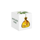 Vase en verre pour avocat | Fleux | 26
