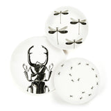 Assiette creuse - Libellule | Fleux | 5