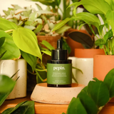 Sérum nourrissant - Plantes Vertes | Fleux | 8