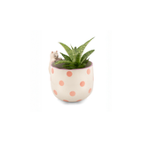Pot peeking Cat | Fleux | 8