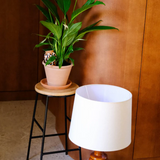 Diffuseur d'eau naturel Olla - Léopard | Fleux | 15
