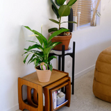 Olla natural water diffuser | Fleux | 15