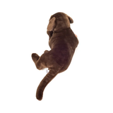 Peluche Labrador Marron Chocolat Couché | Fleux | 5