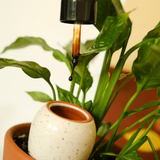 Sérum nourrissant - Plantes Vertes | Fleux | 10