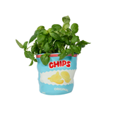 Chips Vase - Blue | Fleux | 7