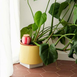 Olla natural water diffuser | Fleux | 11