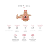 Camera Zoo Vidéo - Renard | Fleux | 11