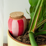 Diffuseur d'eau naturel Olla | Fleux | 41