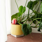Diffuseur d'eau naturel Olla | Fleux | 42