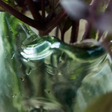 Vase HDFish Green | Fleux | 6