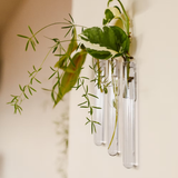 Pack de 3 vases muraux | Fleux | 12