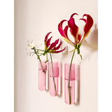 Pack de 3 vases muraux XL | Fleux | 5