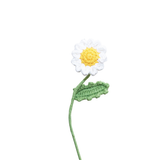Fleurs en Crochet Daisy | Fleux | 6