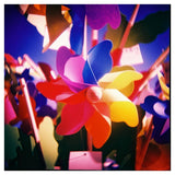 Appareil Photo Diana F+ Package 10Th Anniversary | Fleux | 11