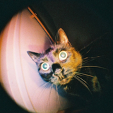 Appareil Photo Fisheye Baby 110 Gold | Fleux | 11