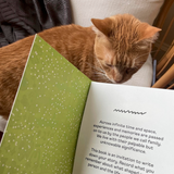 Journal Stories We Tell | Fleux | 7