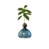 Cosmic Acorn Glass Vase | Fleux | 10