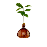Vase en verre pour gland | Fleux | 10