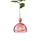 Vase en verre pour gland | Fleux | 13