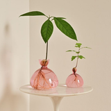 Vase en verre pour gland | Fleux | 14