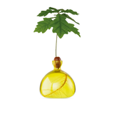 Vase en verre pour gland | Fleux | 8