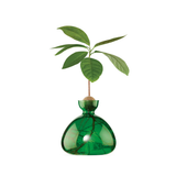 Vase en verre pour avocat | Fleux | 21