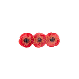 Barrette Coquelicot | Fleux | 4