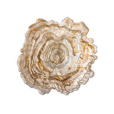 Assiette creuse / Bol Asimi en verre | Fleux | 3