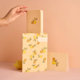 Carnet Citronnade | Fleux | 4